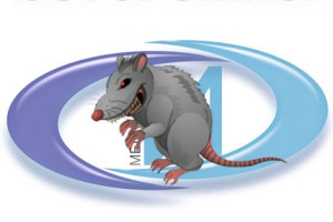 Обыкновенная провокация: как путают идиотизм и похмелье с демократией и народовластием