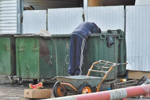 Кризис куриного яйца или причины катастрофических успехов российской экономики