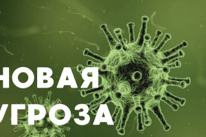 Энергетический кризис 2024 // Разборки внутри кремля