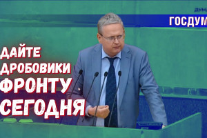 Делягин предложил принять закон о дробовиках для СВО сразу в трёх чтениях