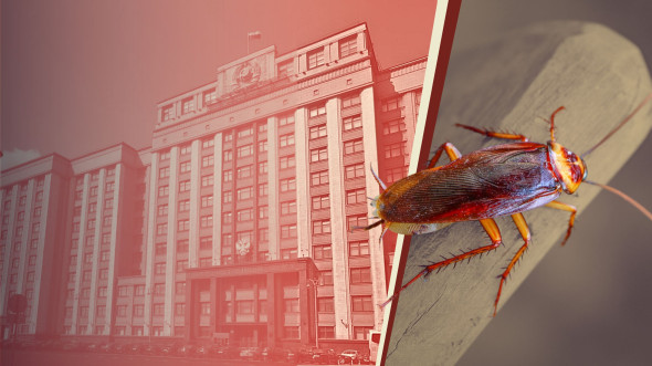 Американский таракан – не самое вредное существо в Госдуме