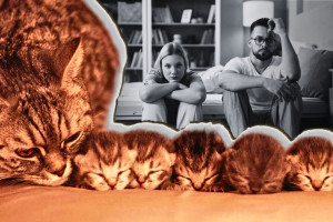 Квадроберы против чайлдфри — как спасать демографию под властью либералов