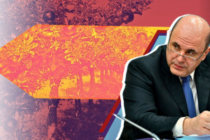 Правительство Мишустина обеспечивает развитие сельского хозяйства