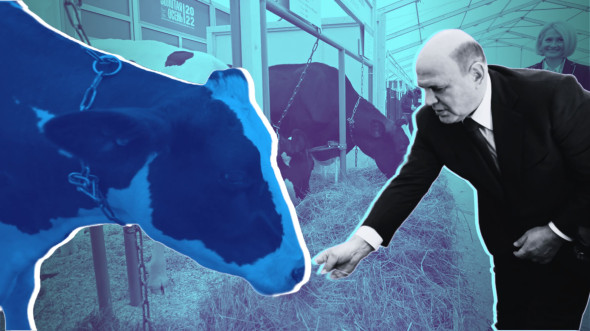 Правительство Мишустина поддерживает аграрно-промышленный комплекс
