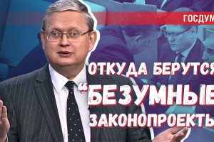 Депутаты сражаются за выживание: откуда в ГД берутся «странные» законы