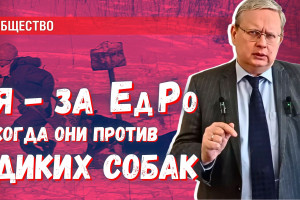 Поддерживаю «Единую Россию» в её борьбе с дикими собаками