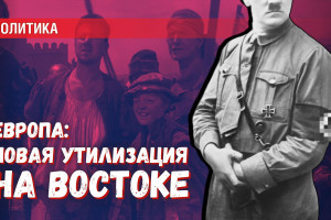 Пушки и пушечное мясо: какая судьба ждёт Евросоюз после Тарифной войны