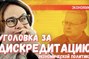 Будет ли уголовная статья за дискредитацию российской экономики?