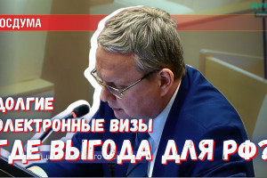 Электронные визы станут продолжительнее: какая от этого выгода России?