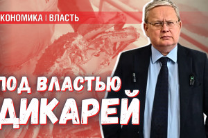 Зоозащита дикарей: миллиардные потери на ловле крабов из-за формализма