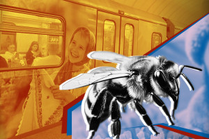 Лечение пчелами в Дагестане, вологодское метро в Москве и курс доллара в обменниках | Стрим