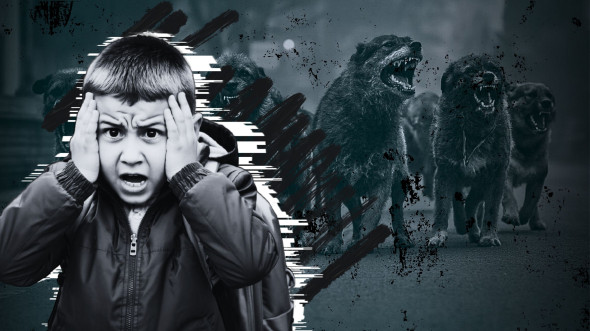 Почему зоофашизм продолжает убивать безнаказанно