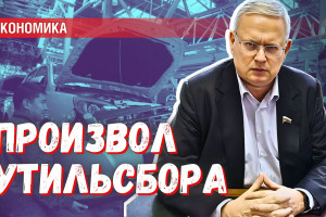 Таможня оседлала утильсбор: из-за произвола пострадают десятки тысяч семей