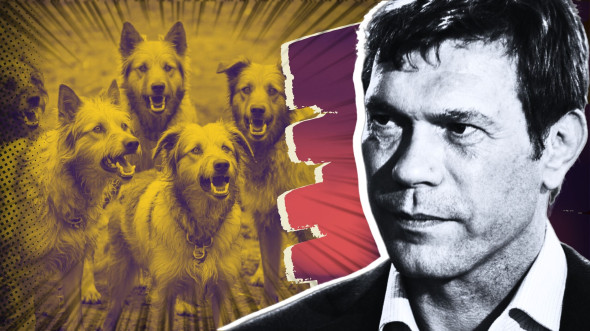 Царёв выявил сетку телеграм-каналов, занимавшихся травлей патриотов