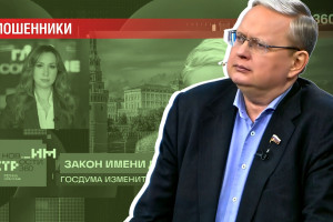 Февраль 2025 — январь 2026: 4 закона Делягина против «Схемы Долиной»